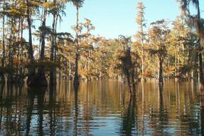 Woolen Lake